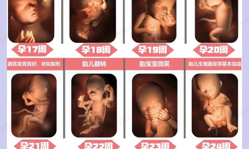 健力多钙片是正规品牌吗-健立多补钙效果网 | 建力多钙片的功效,健力多钙片多少钱一瓶