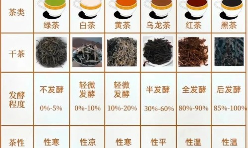 健力多钙片多少钱一瓶-健立多补钙效果网 | 建力多钙片的功效,健力多钙片多少钱一瓶